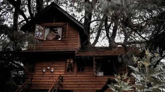 Rustic wooden treehouse tucked among dense dark trees, with a small balcony and surrounding greenery.