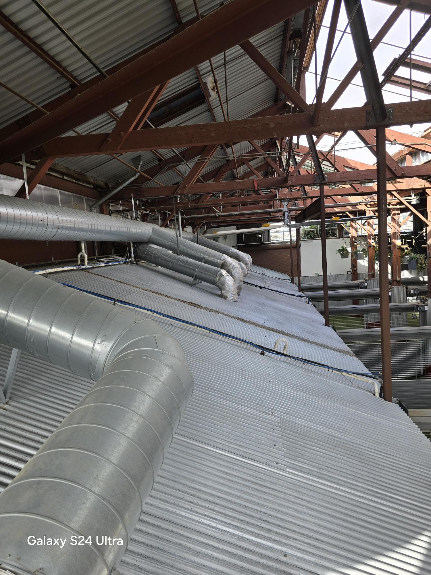 Industrial ducts extend over a corrugated metal roof inside a building with a large wooden truss structure.
