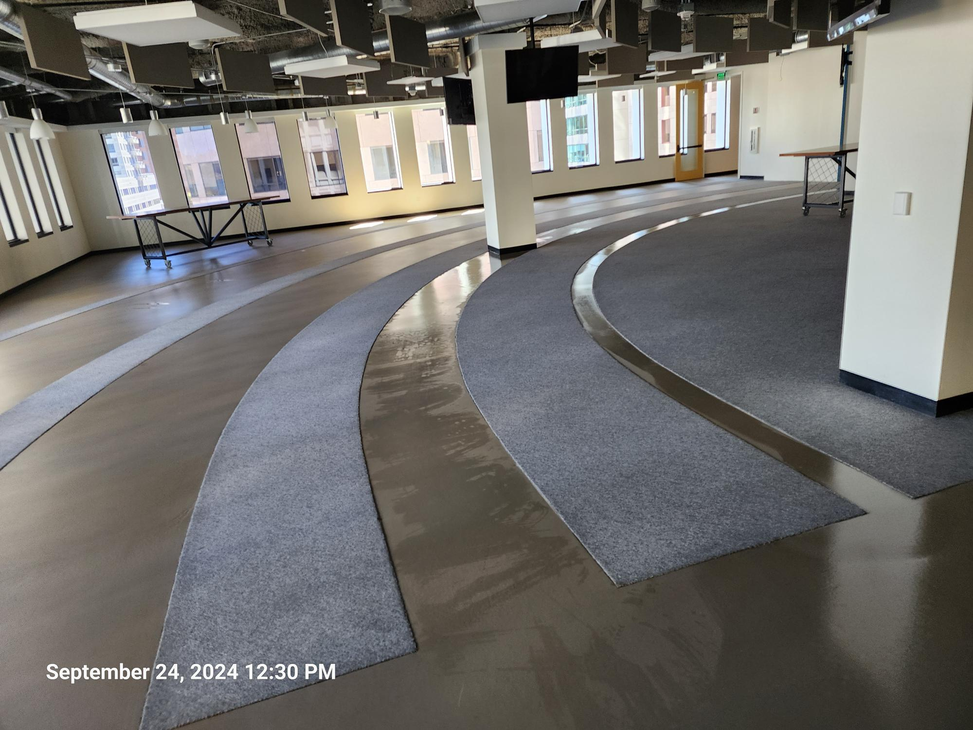 Empty office space with curved dark flooring, gray carpet paths, white pillars, and large windows.