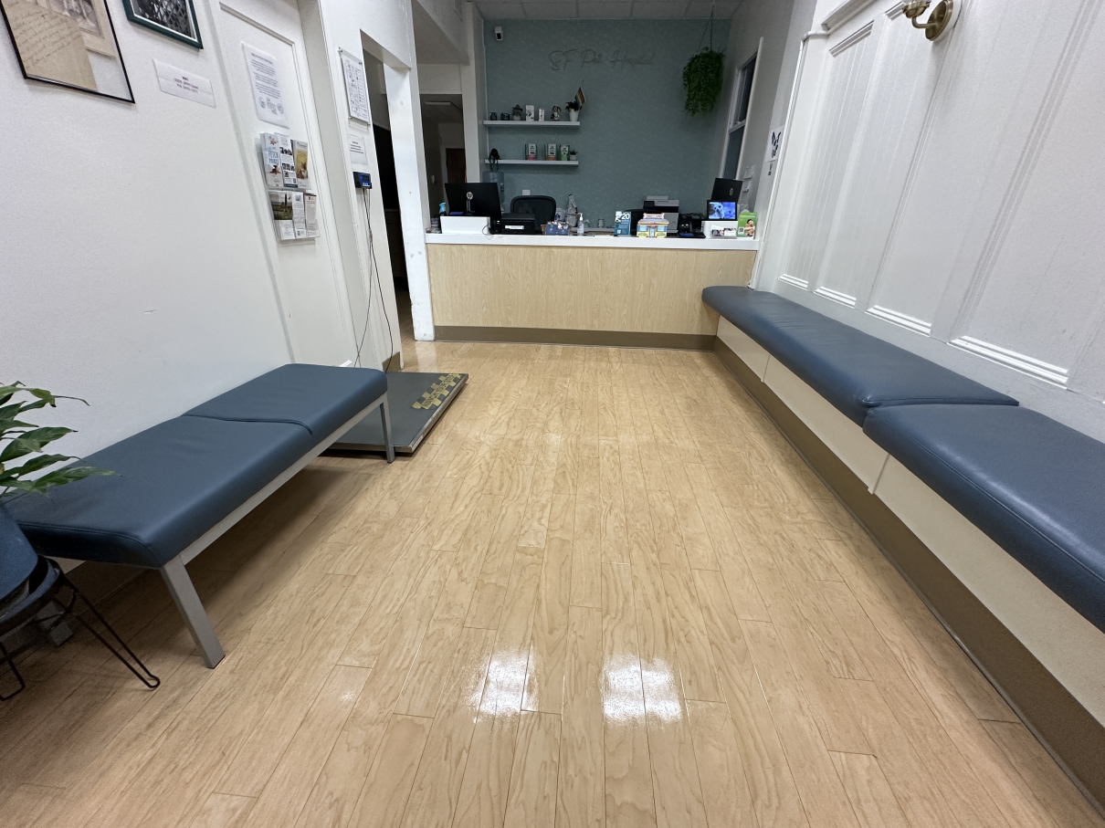 A waiting room with light wood flooring, two blue padded benches along the walls, and a reception desk in the back.