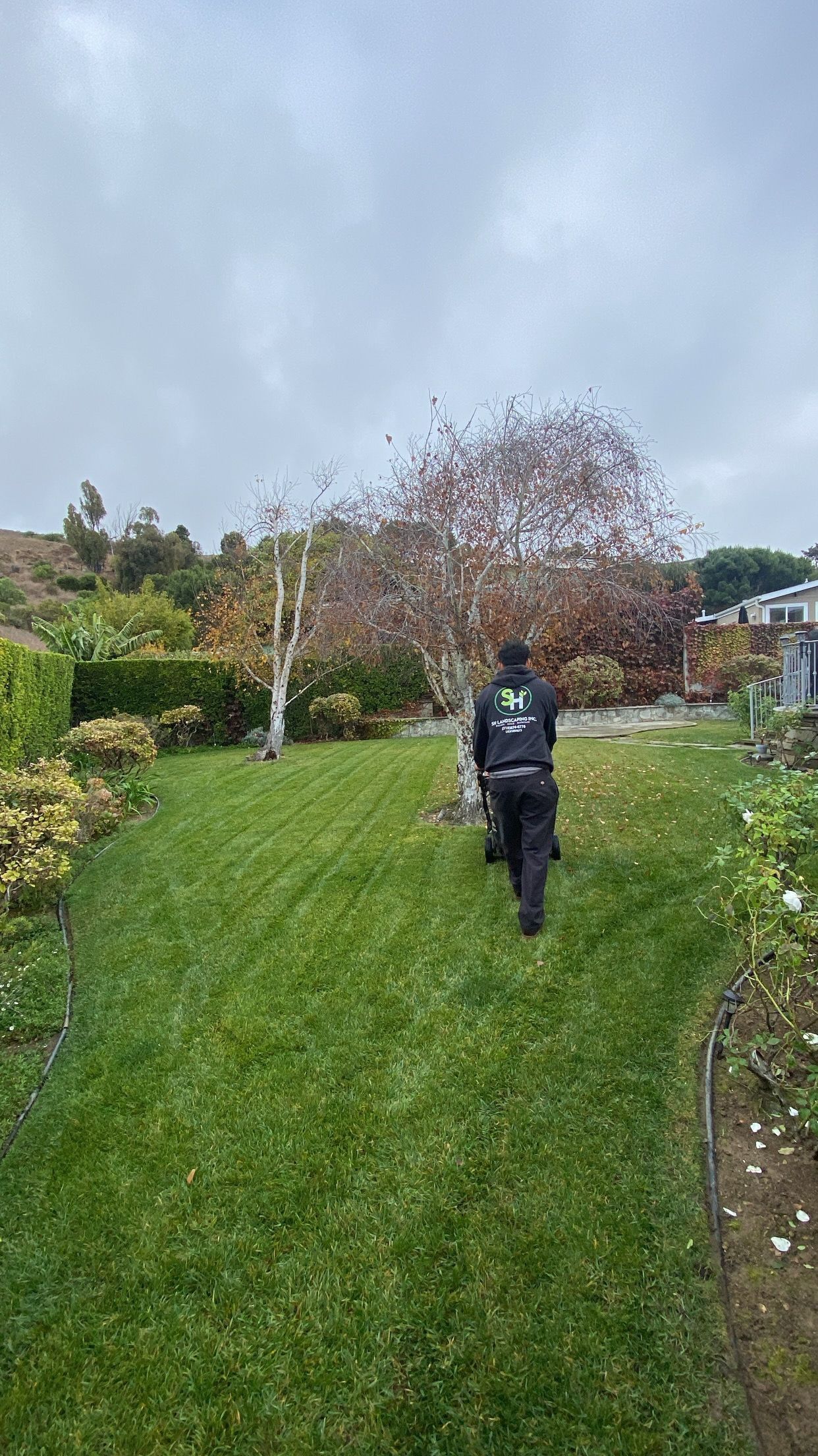 Man mowing a green lawn on a cloudy day, a tree and hillside in the background.