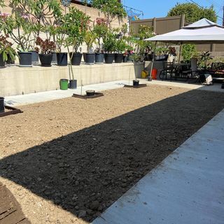 Long, dirt patch next to concrete patio, with potted plants in the background under a sunny sky.