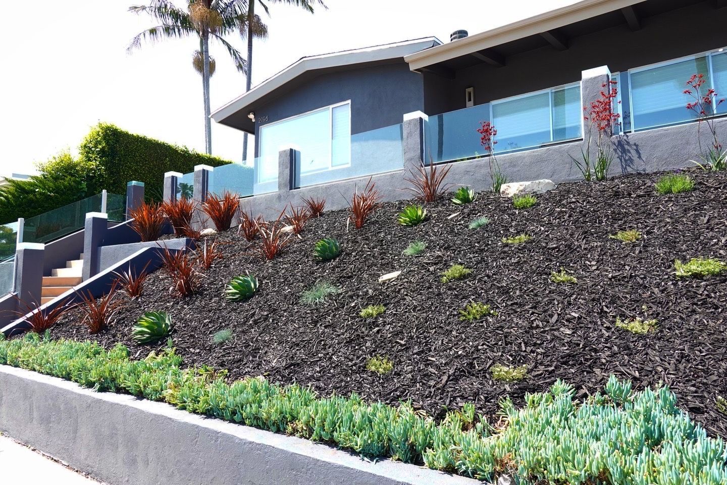 Sloped landscaping with plants and mulch, next to a modern house with glass railings.