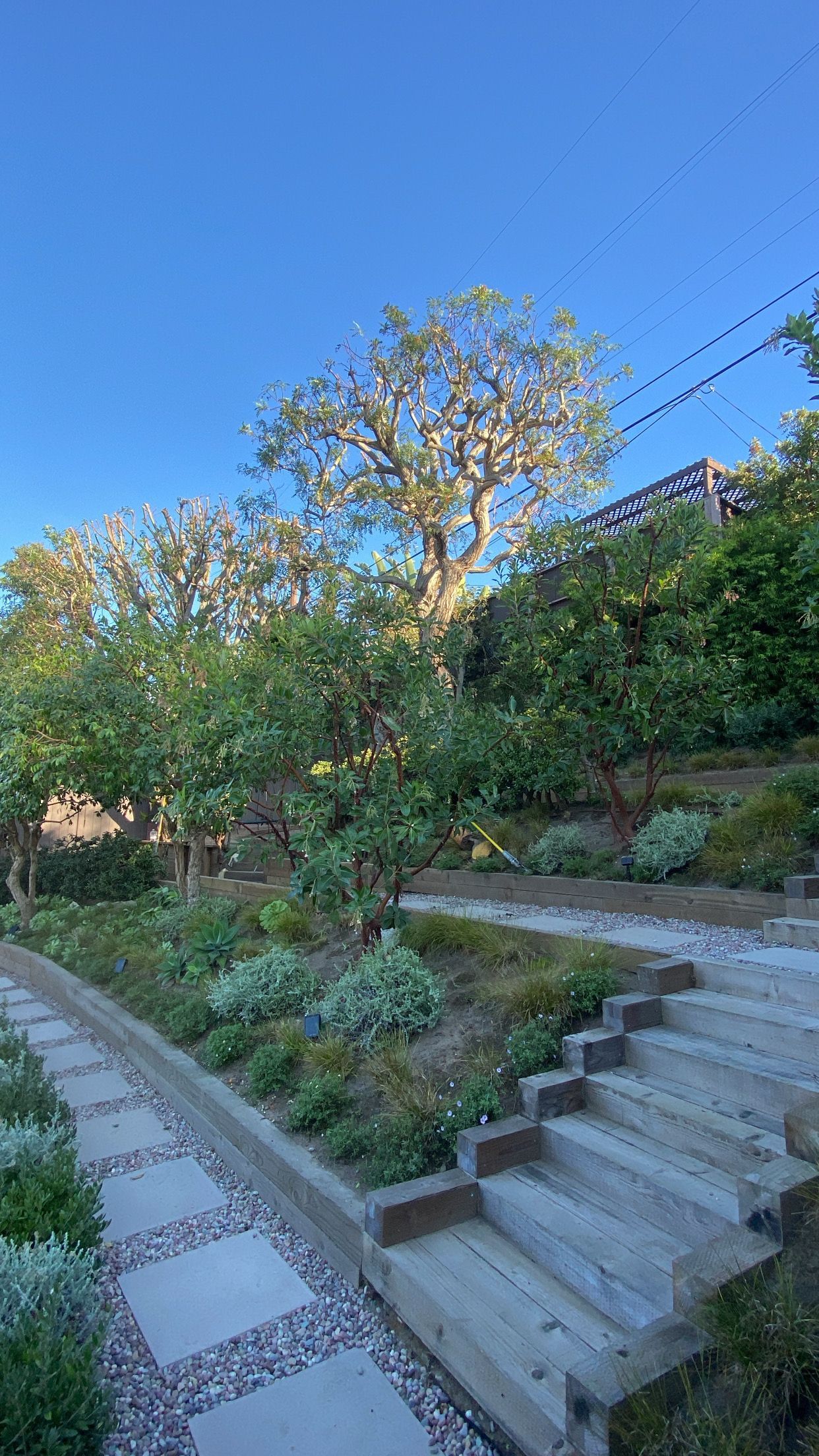 Stone path and stairs leading up a hillside garden with trees under a blue sky.