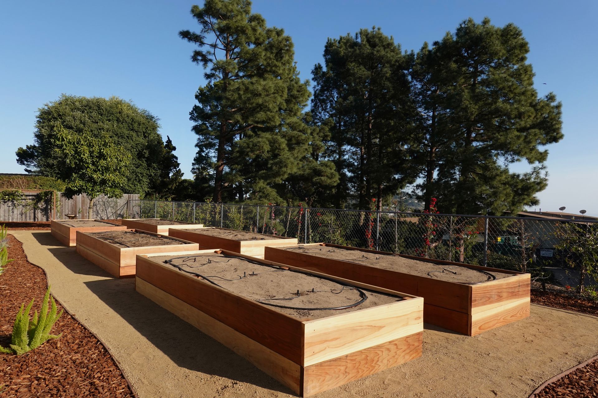 Raised garden beds filled with dirt in a sunny outdoor setting, trees and a blue sky in the background.