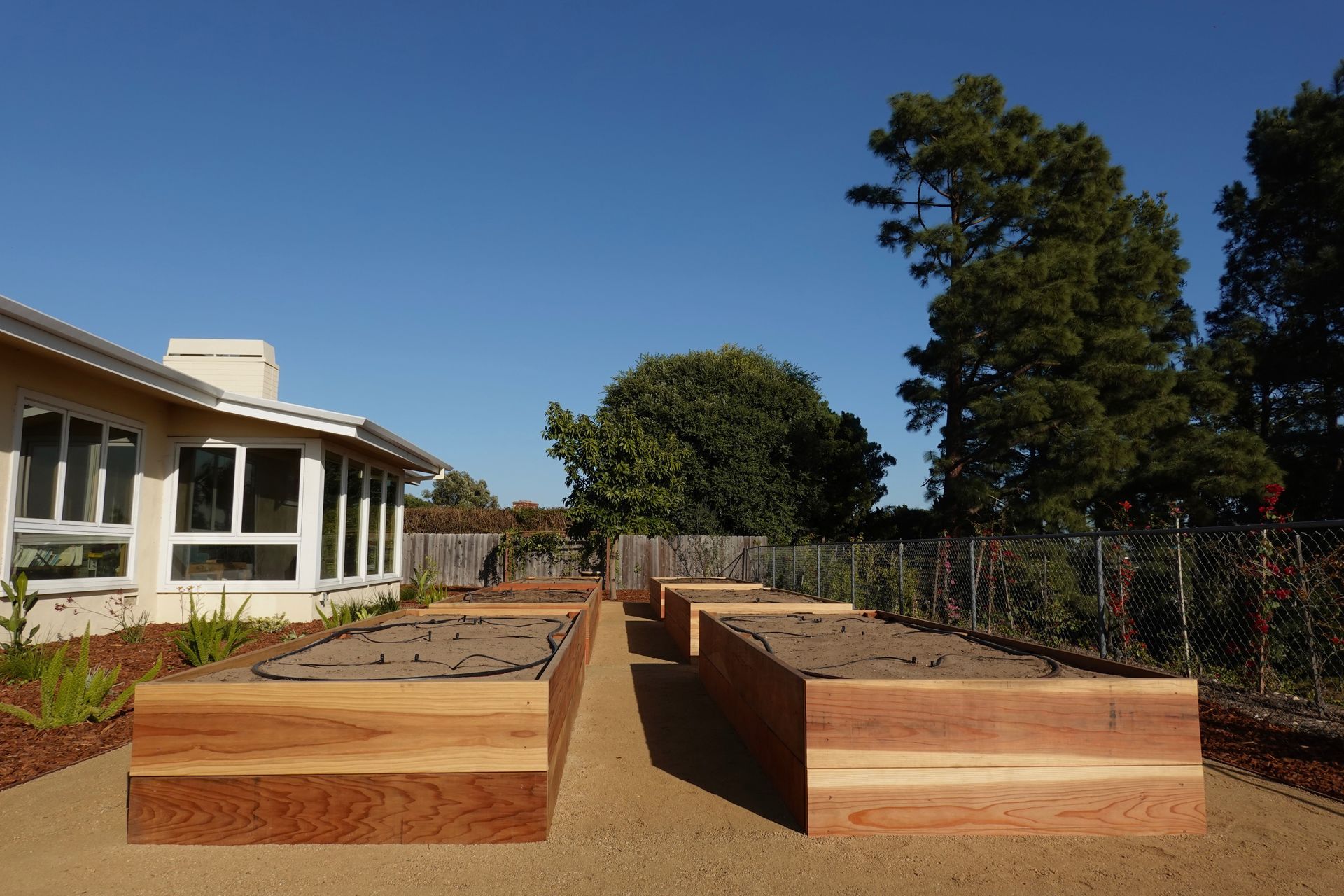 Wooden raised garden beds in a backyard, gravel path, blue sky.