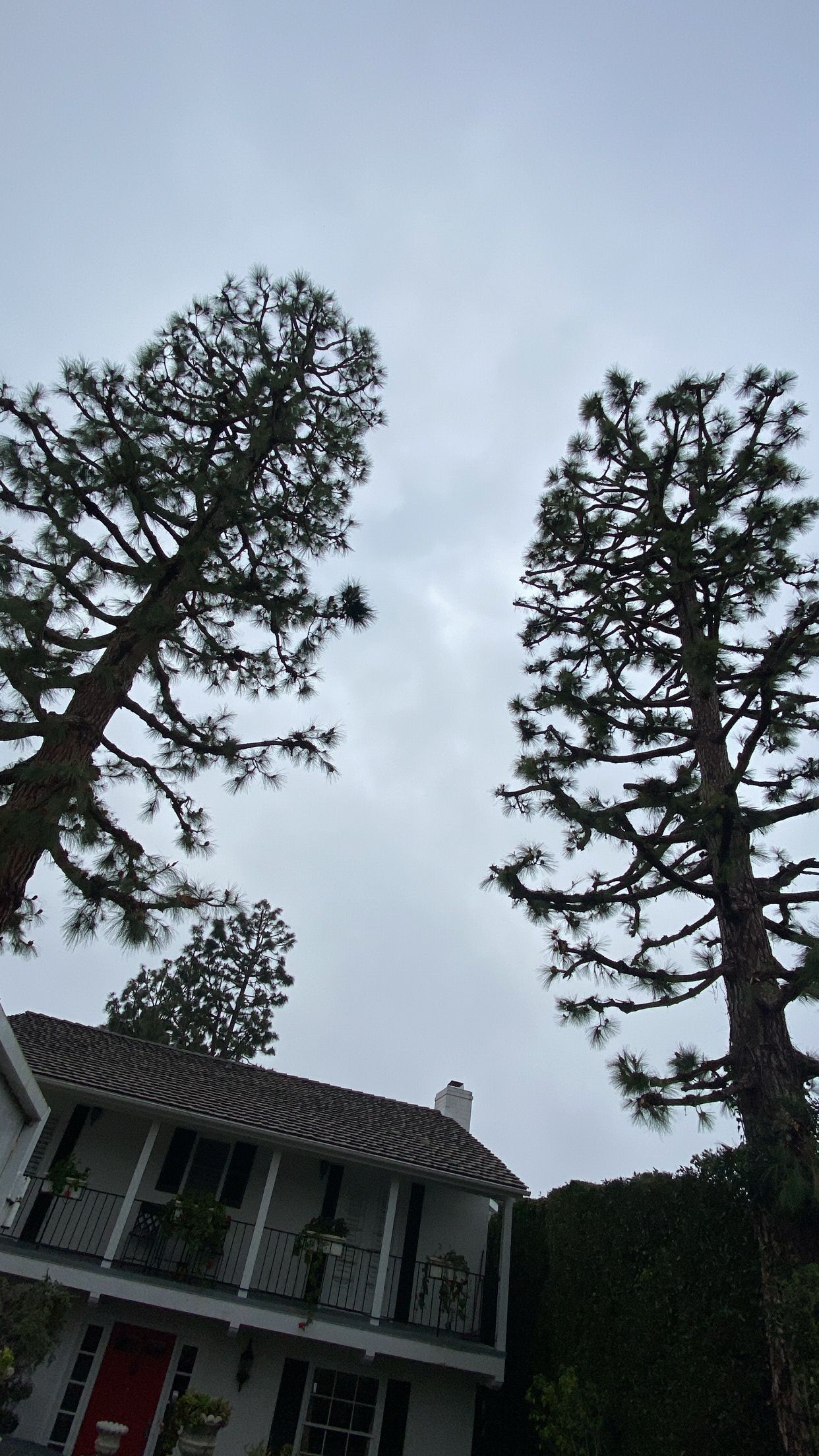 White house beneath cloudy sky, flanked by tall pine trees.