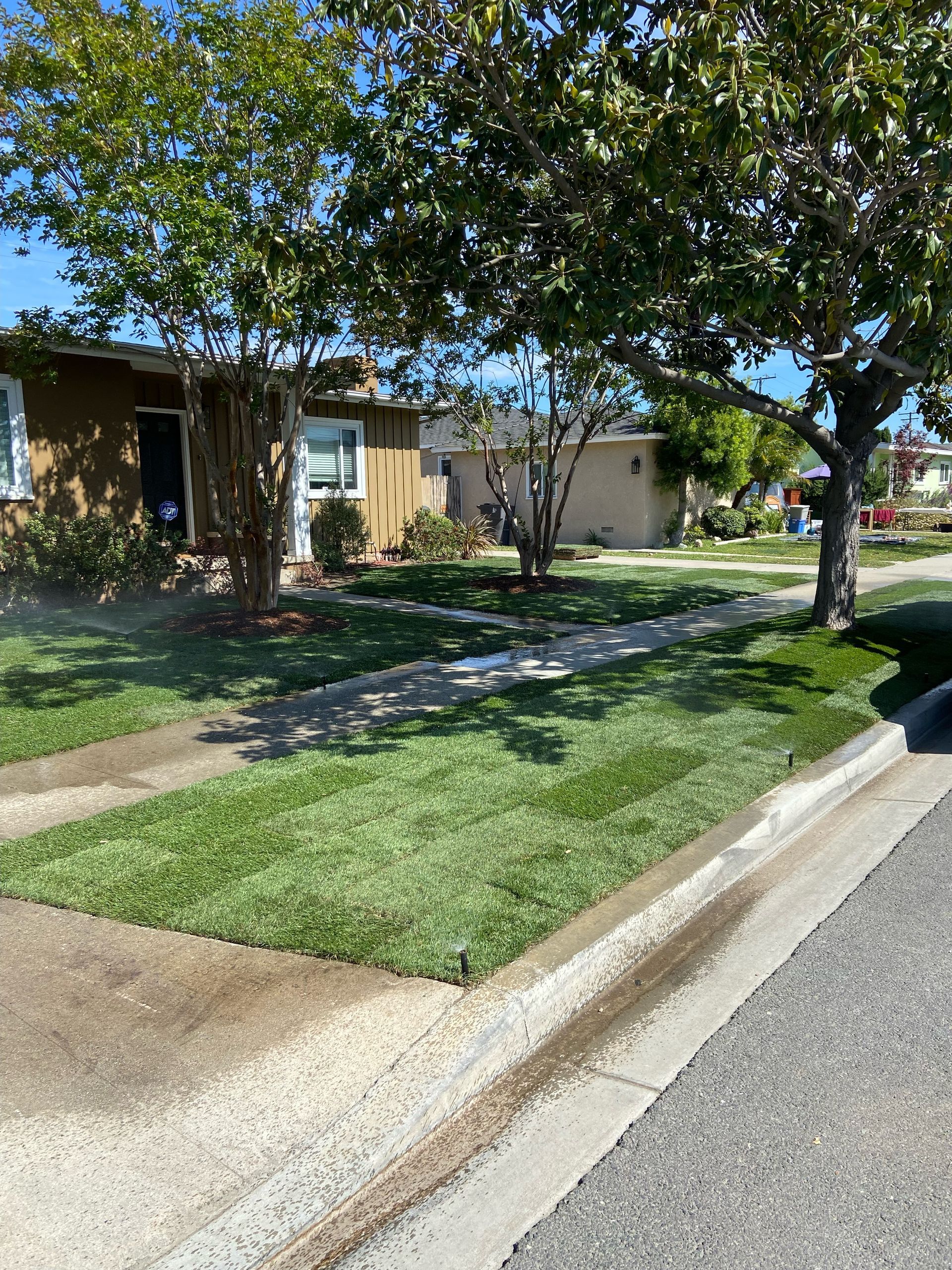 Green lawn in front of a tan house, trees overhead. Street and sidewalk in foreground. Sunny day.