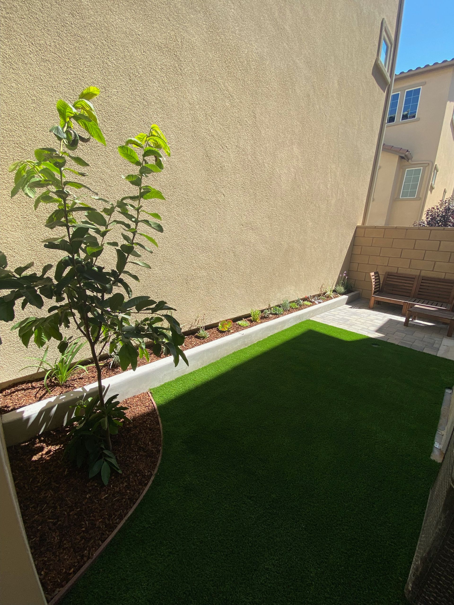 A small, green backyard with a tree, grass, a bench, and a stucco wall.