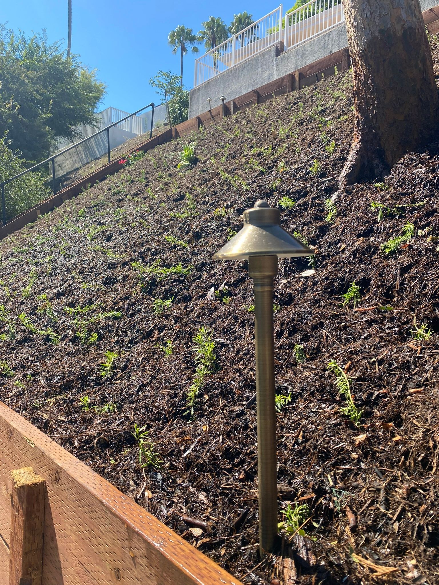 Bronze landscape light on a mulch-covered slope with new green growth. Fence and trees in background.