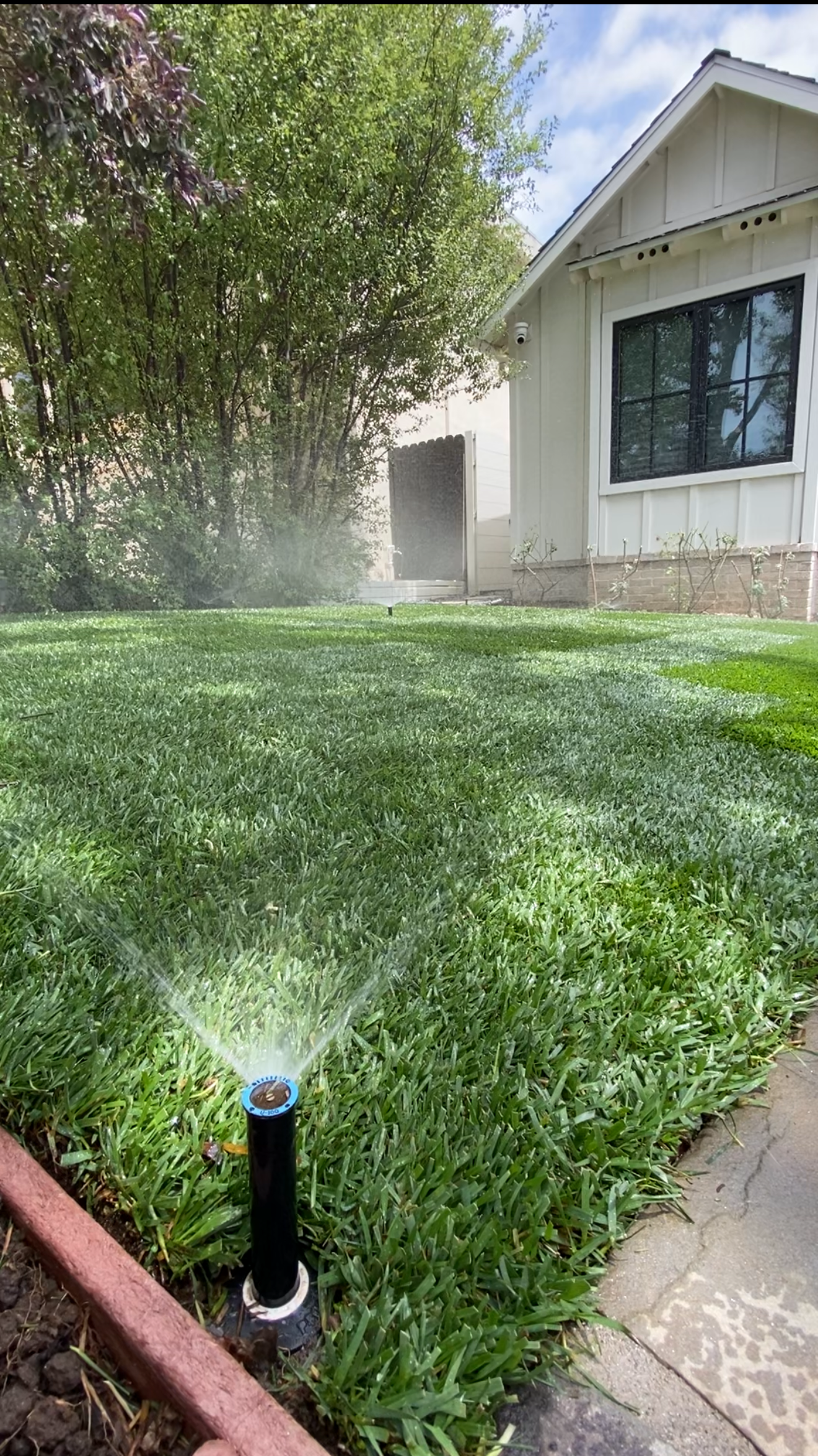 Sprinkler watering a lush green lawn in front of a white house.