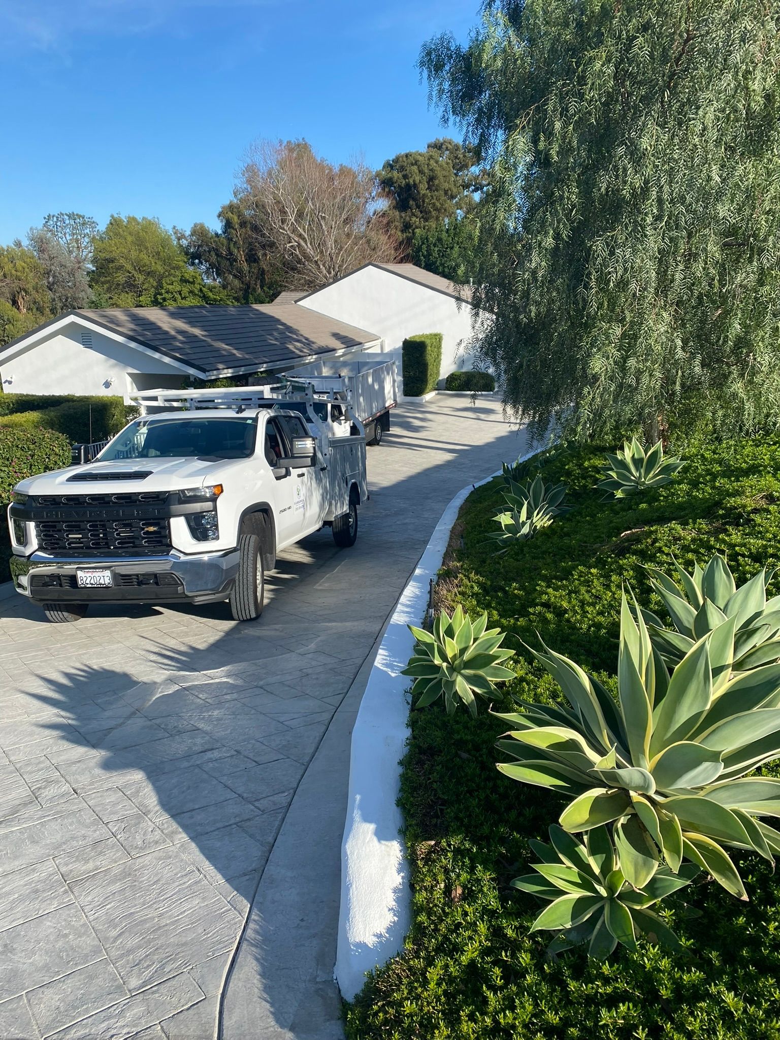 White truck parked on a long driveway leading to a house; sunny day.