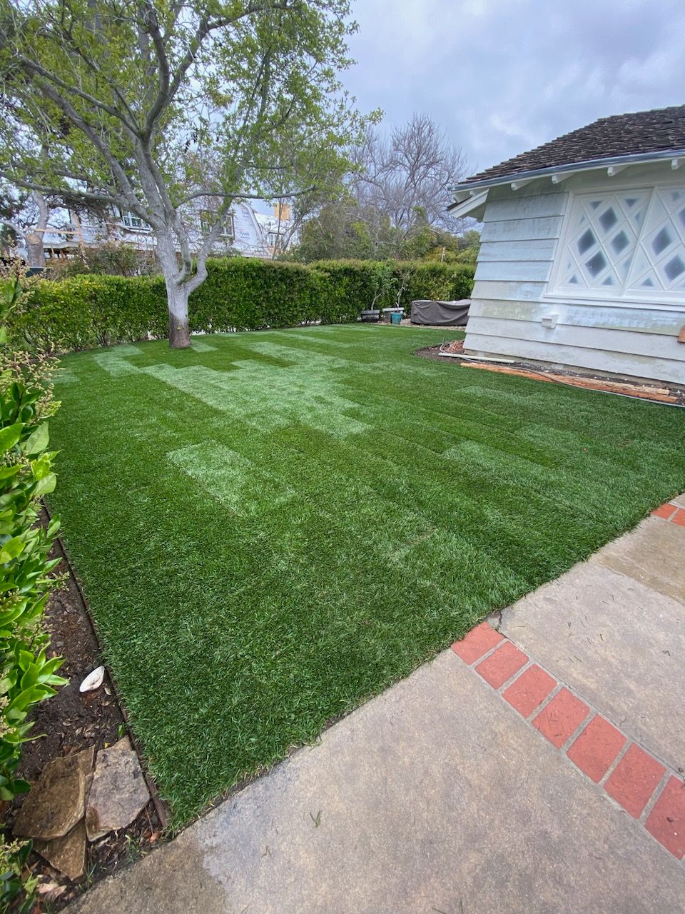 Lush green lawn with mowing stripes, bordered by concrete and brick, near a white house and tree.