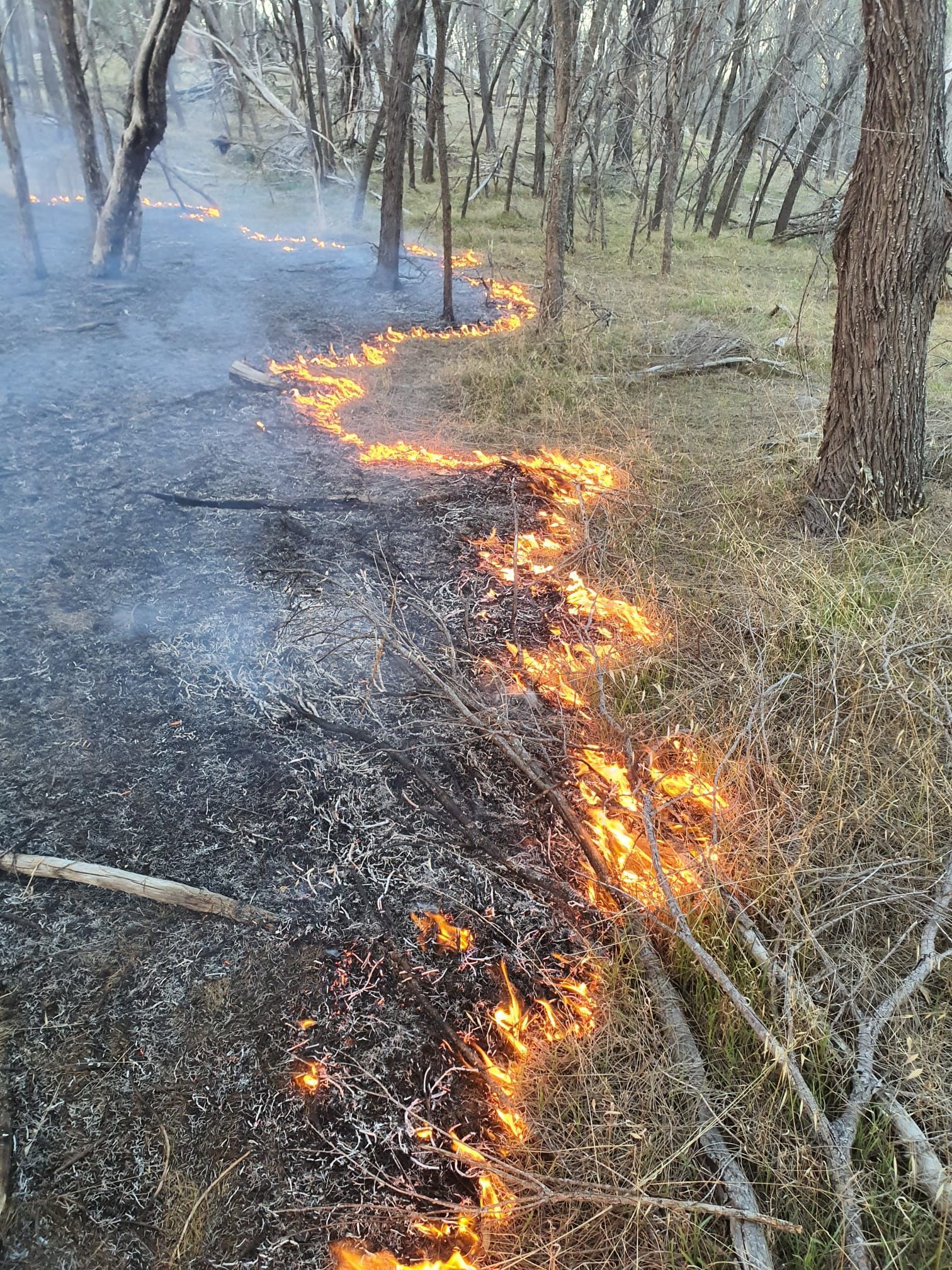 Controlled burning