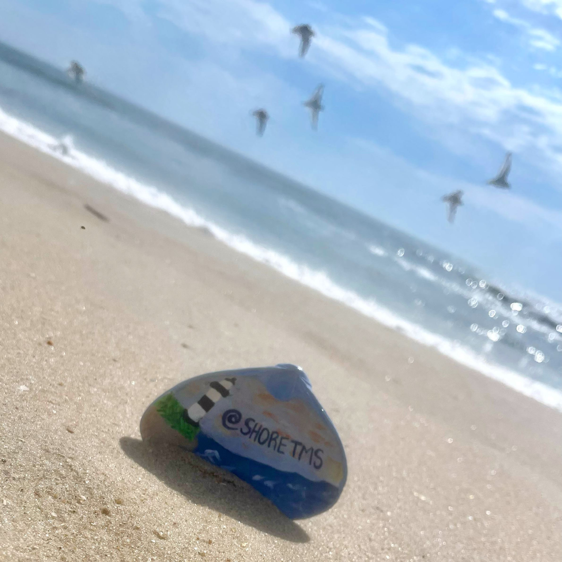 A rock on the beach that says shore tms