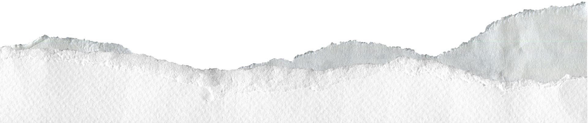 Torn, textured strip of light gray and white paper, with a jagged upper edge.