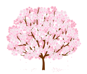 A cherry blossom tree with pink flowers on a white background