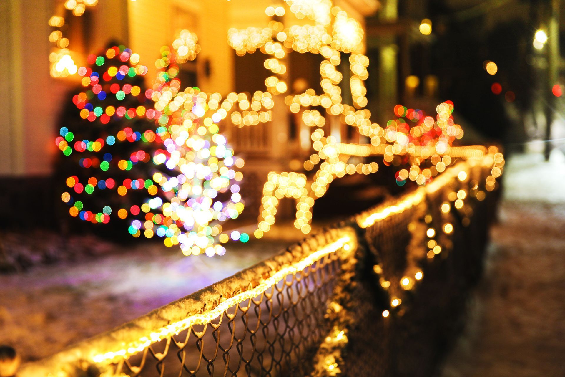 A fence with christmas lights on it and a christmas tree in the background.