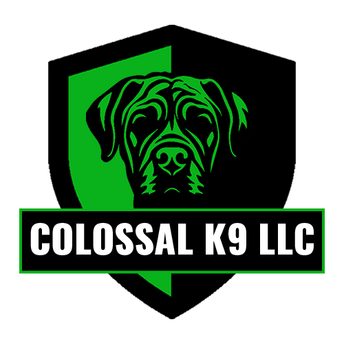 Colossal K9 The logo for colossal k9 llc shows a dog on a green shield.