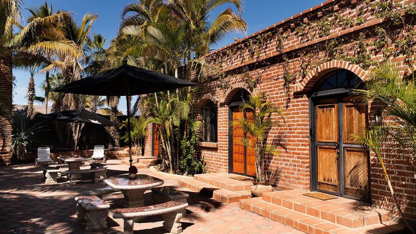 Sunlit brick patio with outdoor tables, black umbrellas, and potted plants beside a rustic building