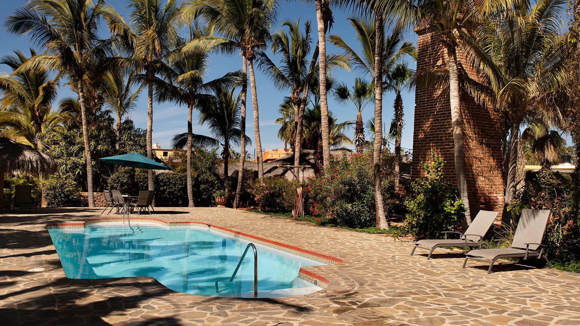 Piscina soleada del complejo rodeada de palmeras y tumbonas.