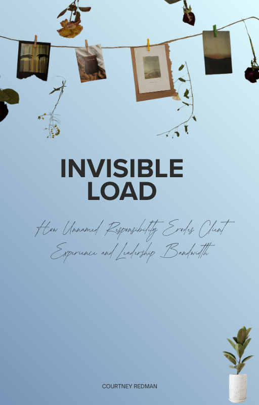 Blue book cover with hanging frames, title 