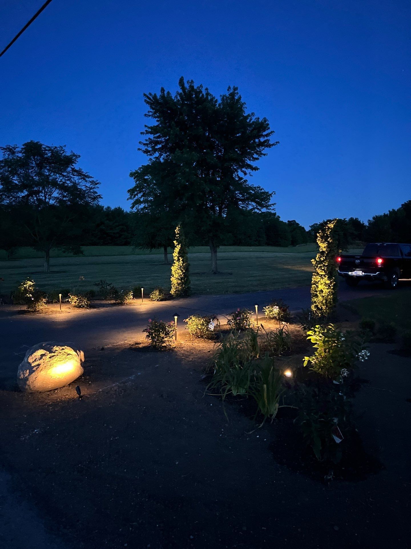 A driveway with trees and bushes lit up at night