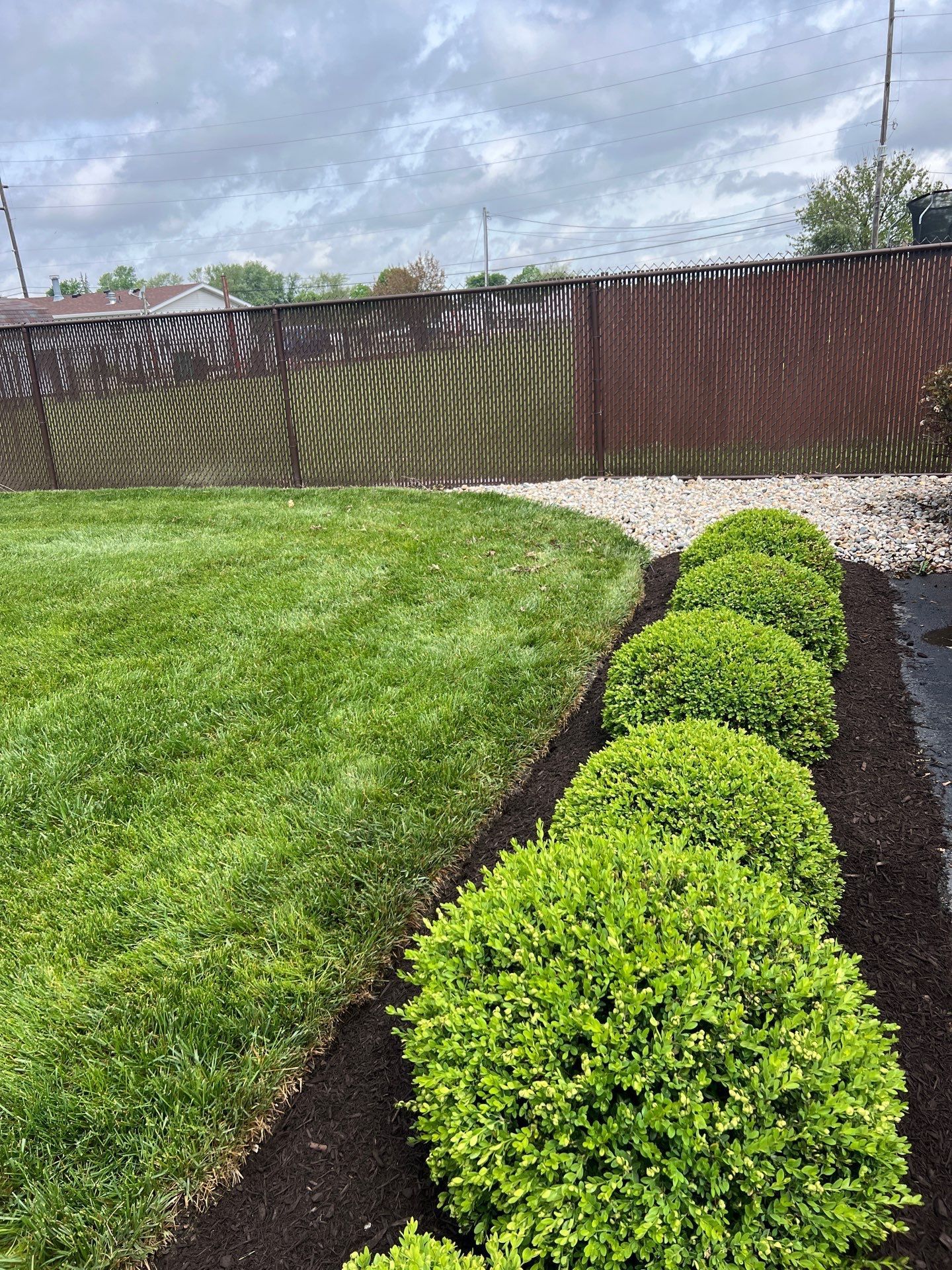 A lush green lawn with a fence in the background and bushes in the foreground.