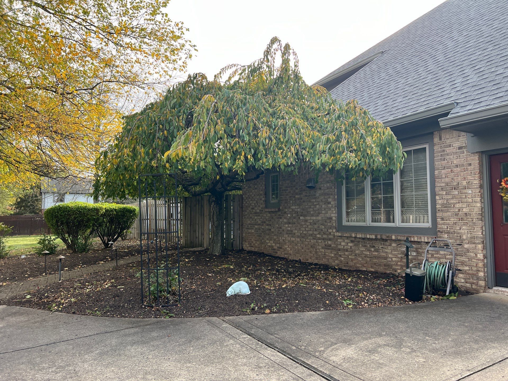 A brick house with a large tree in front of it.