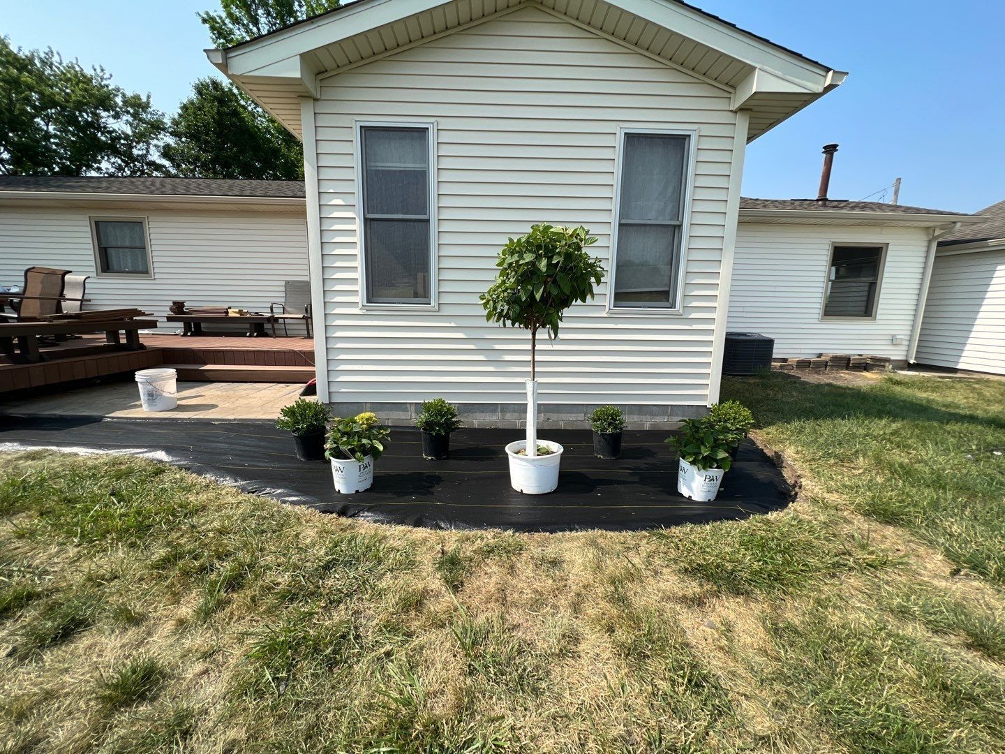 A white house with potted plants in front of it.