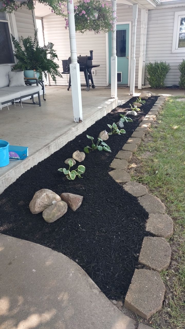 A row of plants are growing in a garden next to a porch.