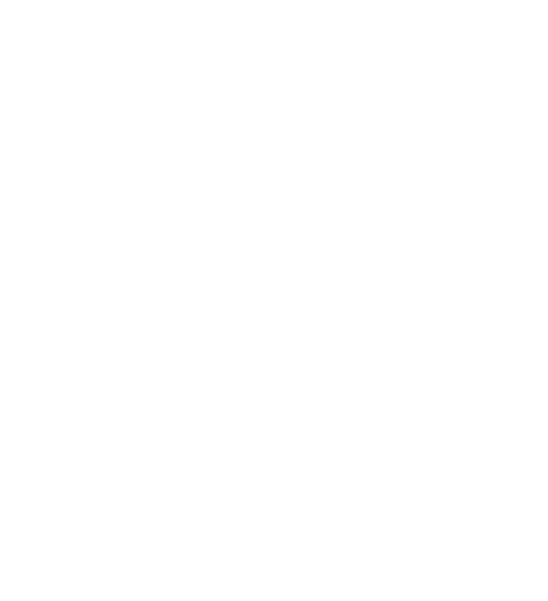 house icon