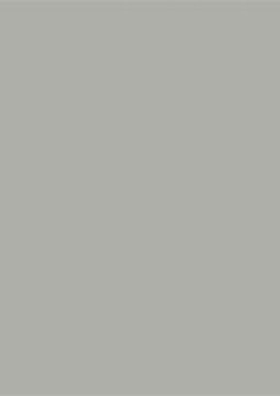 Solid light gray rectangle with a thin darker gray border.