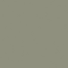 Solid gray-beige square with a thin black border in the lower-left corner.