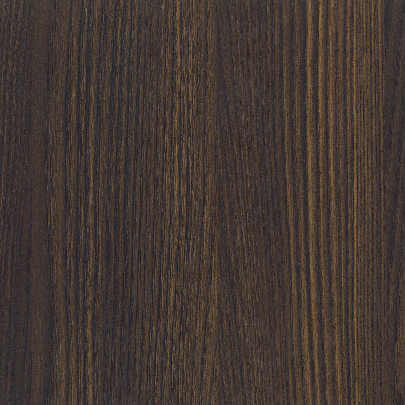 Tierra Elm
