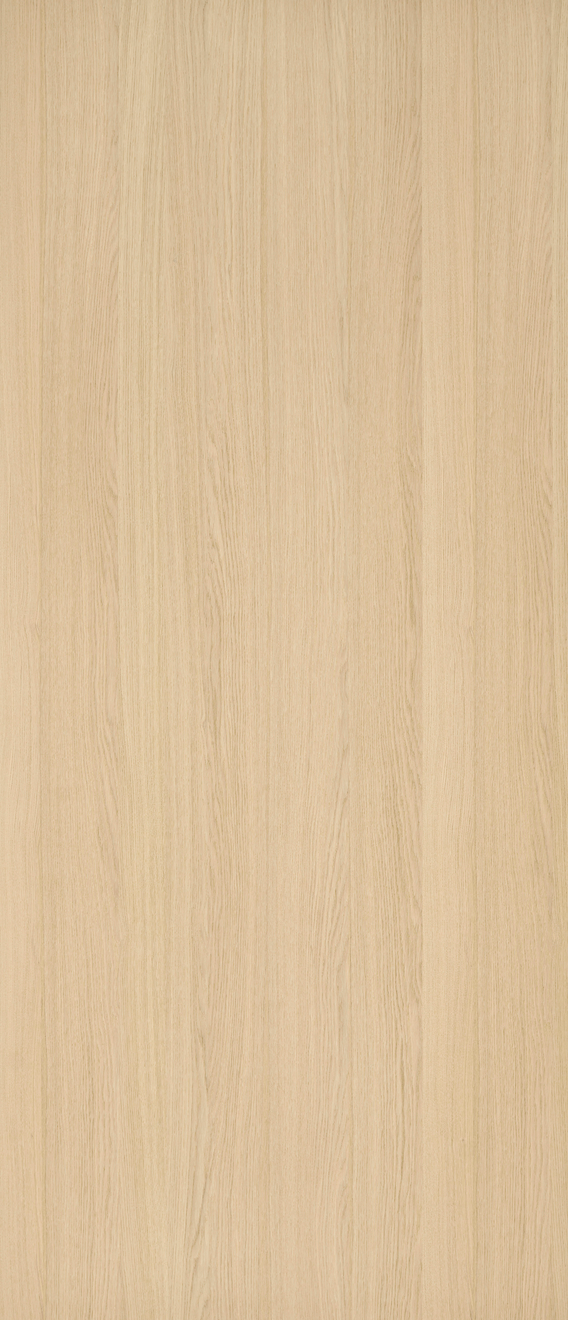 Alabaster Oak