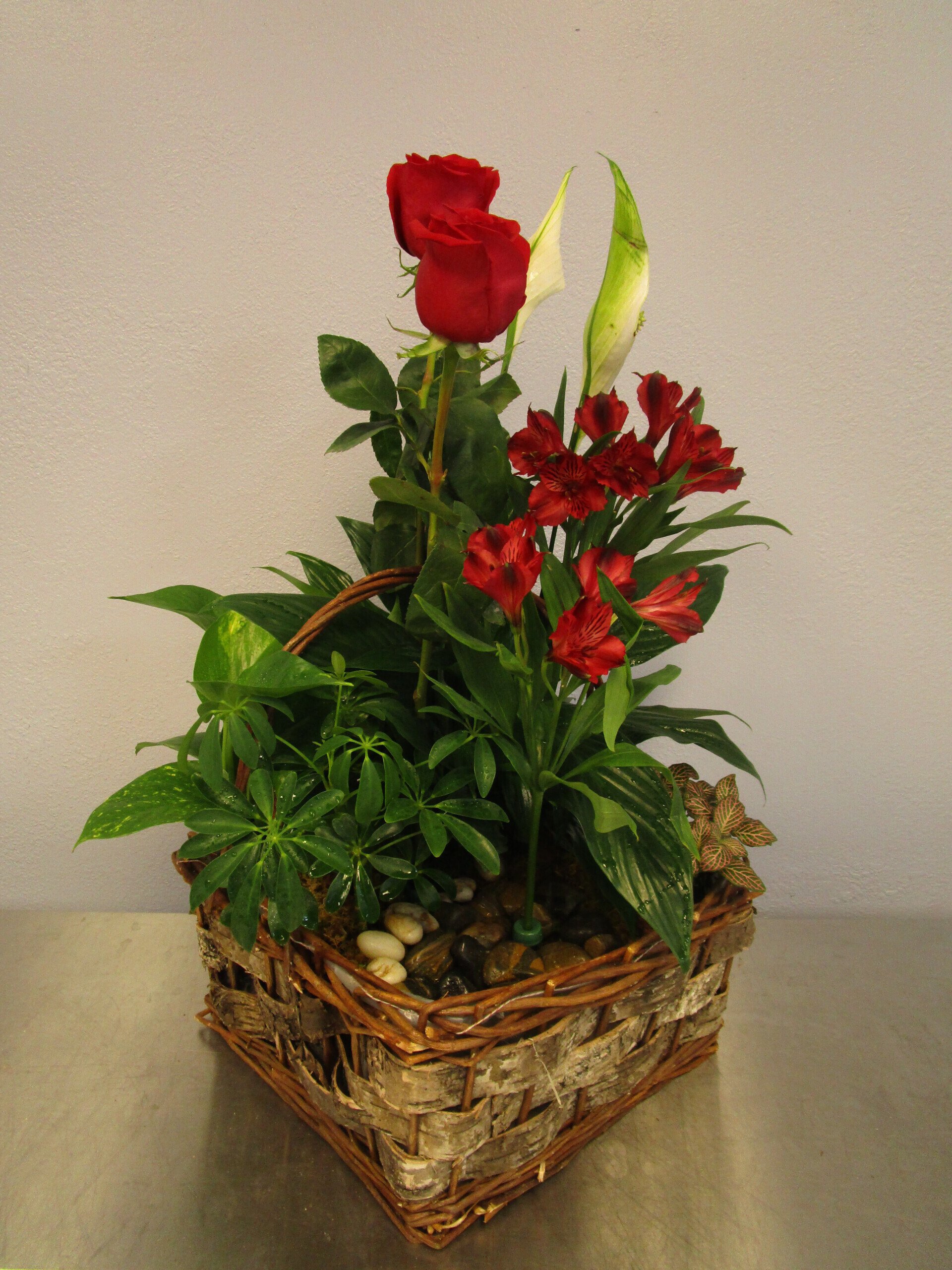 (480) 9837040 Apache Junction, AZ