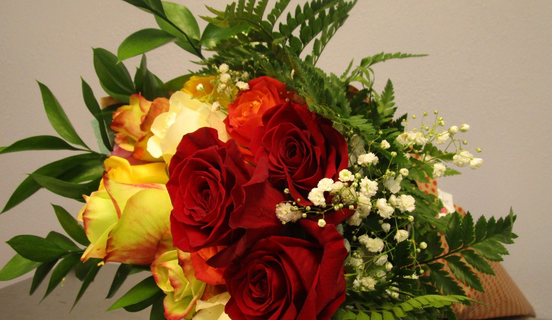 (480) 9837040 Apache Junction, AZ