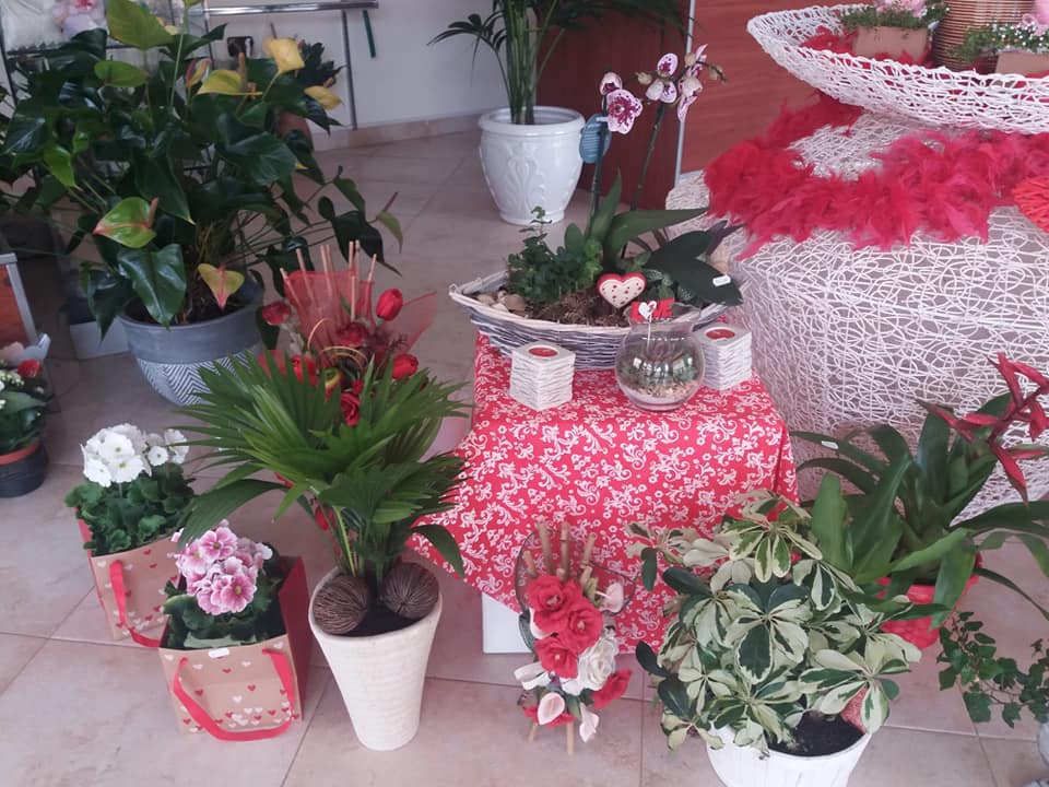 Esposizione floreale con piante in vaso, composizioni floreali rosse e bianche e decorazioni.