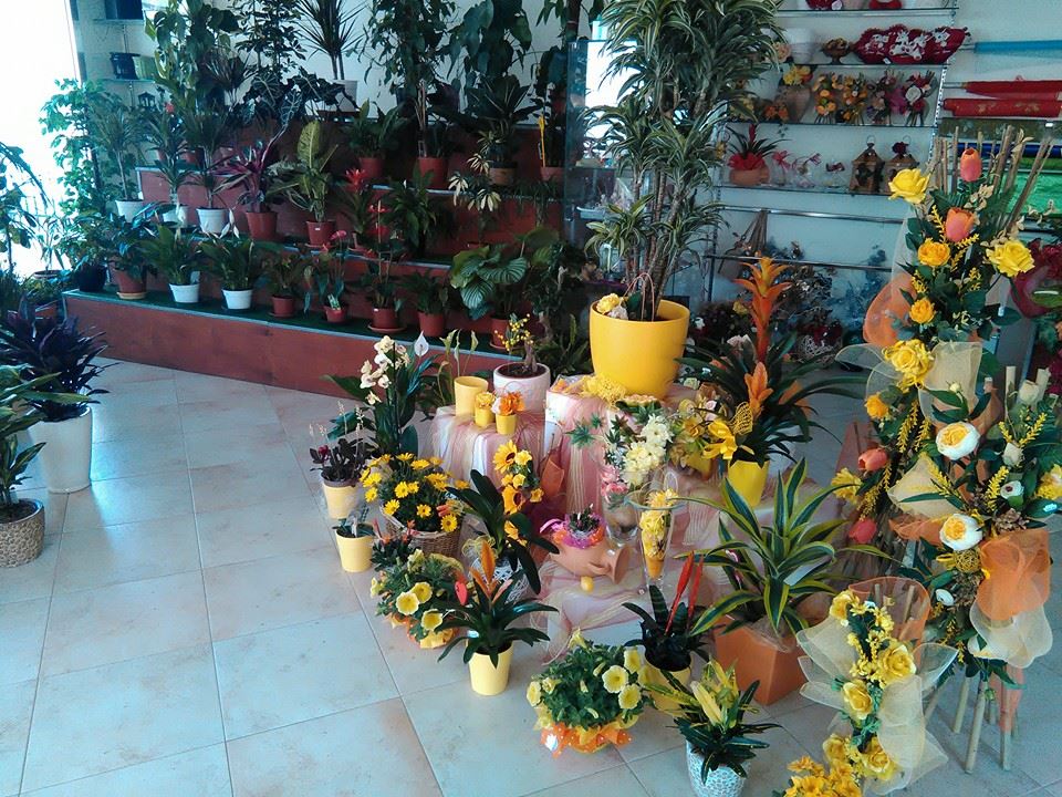L'interno di un negozio di fiori espone varie piante in vaso e composizioni floreali, prevalentemente gialle.