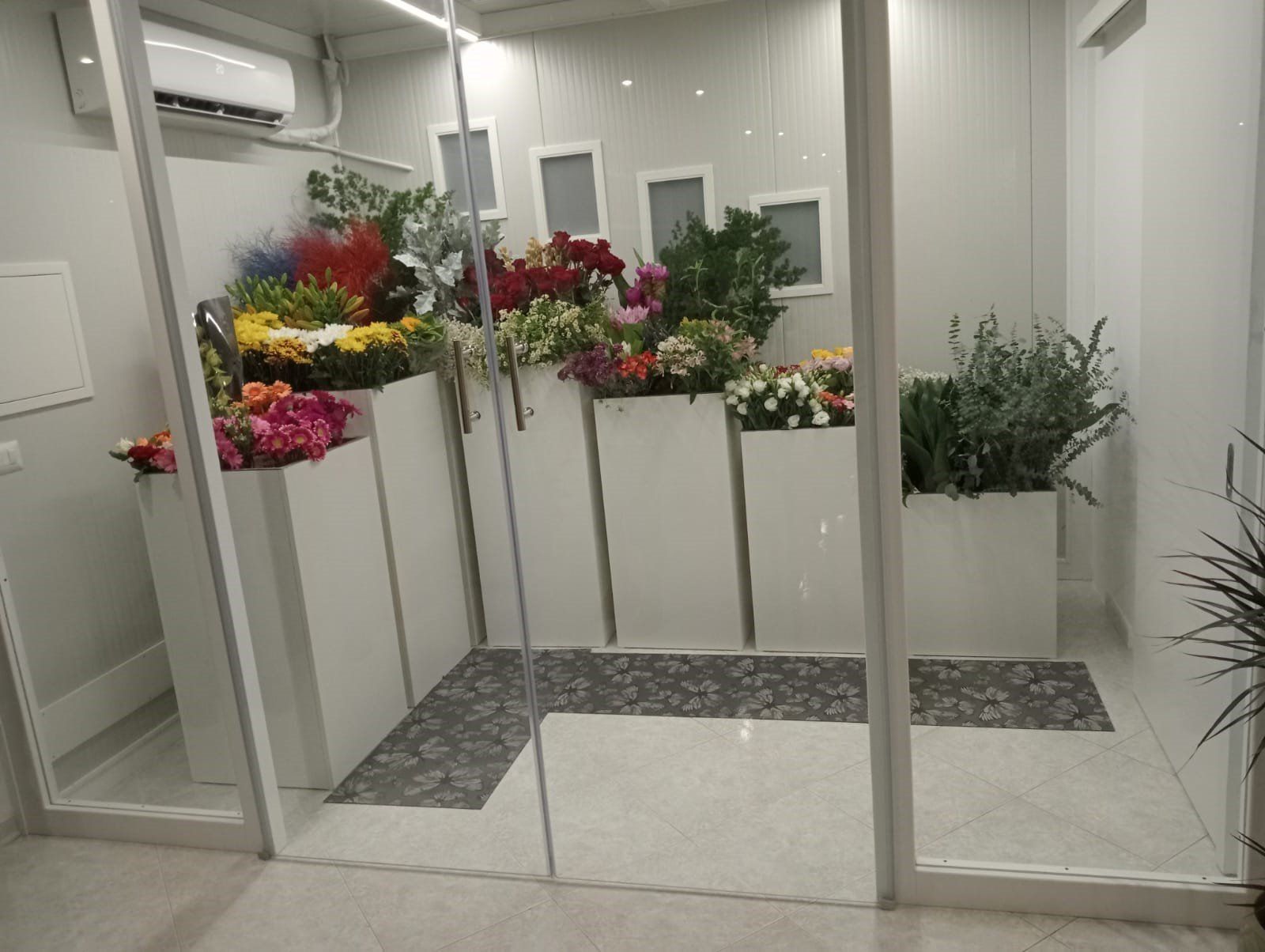 Esposizione di un negozio di fiori con fioriere bianche piene di fiori colorati, dietro una parete di vetro.