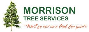 Tree Services on the Sunshine Coast Tree Services on the Sunshine Coast