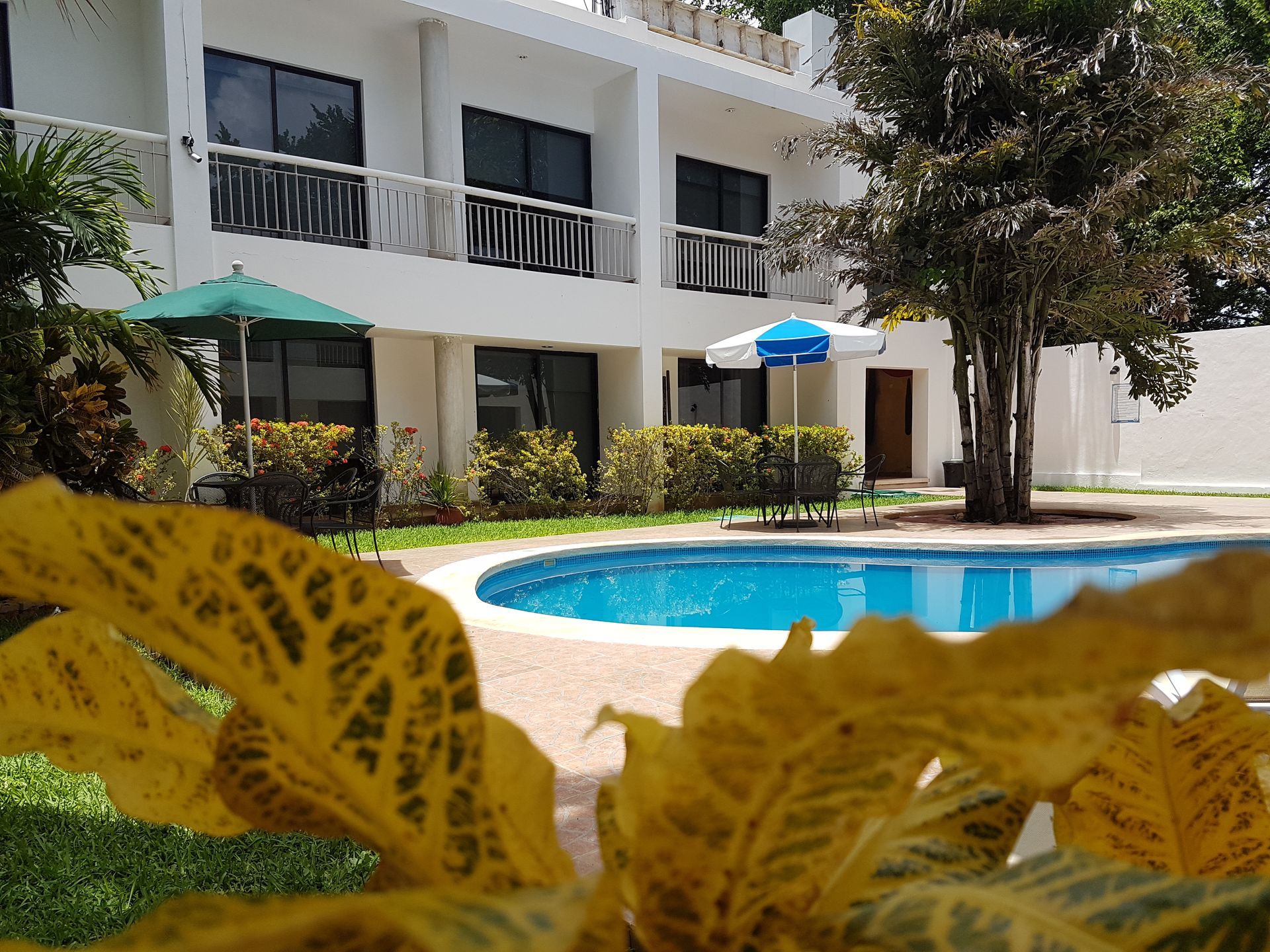 Una gran piscina frente a un edificio blanco.