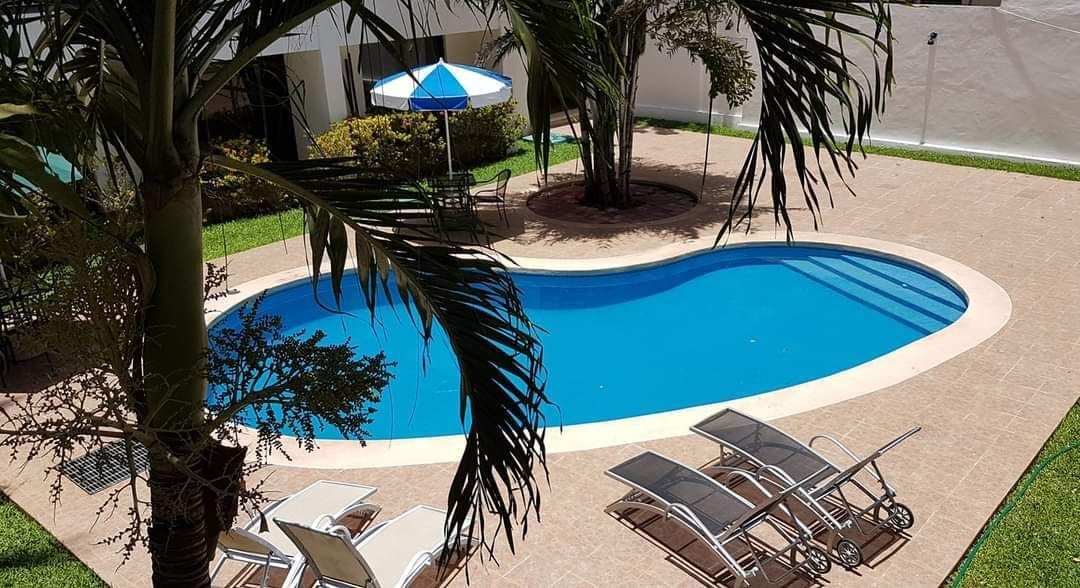 Una gran piscina rodeada de palmeras y sillas.