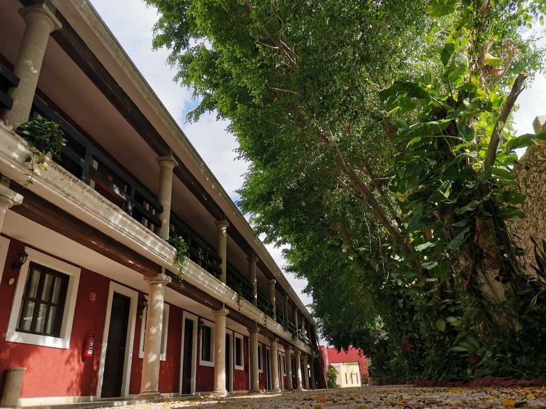 Un edificio con muchas ventanas y árboles delante de él.