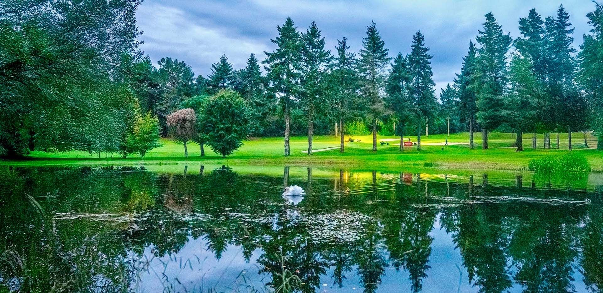 Üppiger, grüner Park am See mit hohen Bäumen und einer ruhigen Spiegelung im Wasser unter einem bewölkten Himmel