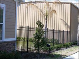 A house with a fence and a palm tree in front of it