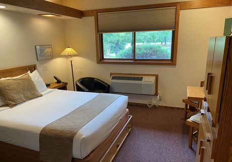 Hotel bedroom with a bed, a chair, and a window with a view of greenery.
