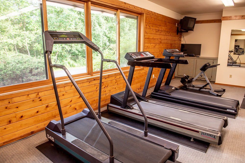 Gym with treadmills and other exercise equipment near windows.