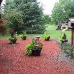 Red mulched garden bed with potted flowers and bird bath, backyard setting.